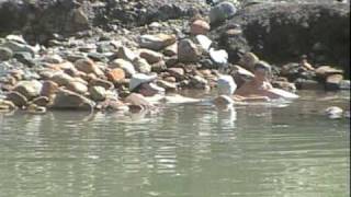 Termas del Plomo
