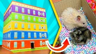 Дом - лабиринт для хомяков - 5 Этажей ? | DIY