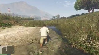 GTA 5 побегал по болоту, трава как живая