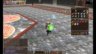 lineage 2. paladin. гайд по паладину
