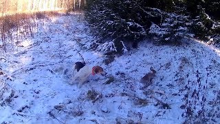Лучшие трофейные моменты 2017 года.