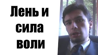 Лень и сила воли