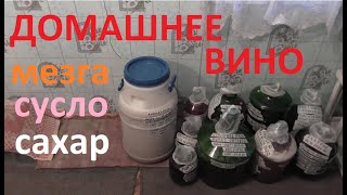 ДОМАШНЕЕ ВИНОДЕЛИЕ обычный день