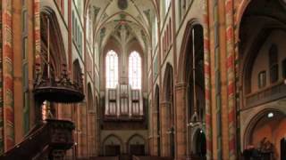 the Power and Drama of Max REGER (organ composer)
