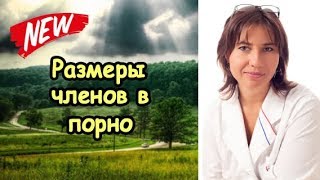 Размеры членов в порнофильмах