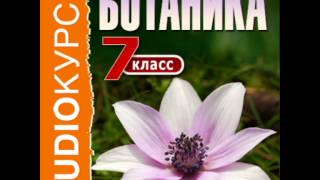2000250 Urok 04 Аудиокнига. "7 класс. Ботаника"