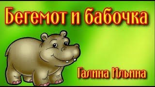 Бегемот и бабочка Детские стихи