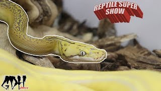 POMONA REPTILE SUPER SHOW AUGUST 2018