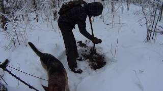 Зимний коп