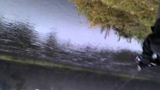 Edvardo neištraukiama lašiša / Unlandable salmon