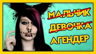 КАКОГО ПОЛА НЕКО НЯШКА? (АГЕНДЕР NEKO NYASKA РЕАКЦИЯ)