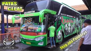 SELEBRITISNYA RESTU PANDA || PONOROGO - SURABAYA 3 JAM SAJA !!! [ PATAS JATIM ]
