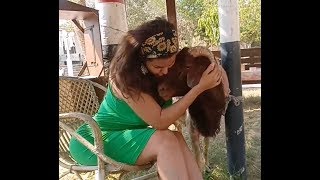 سما المصري تبوس الخروف
