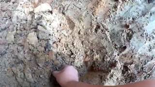 Где живут черви? Копаем глубже! А там...