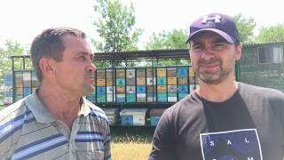 ГДЕ МЫ БЕРЕМ АКАЦИЮ ПАСЕКА ГАТУПОВЫХ