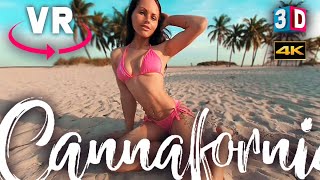 VR 3D BIKINI MODEL ON THE BEACH - CANNAFORNIA GIRLS - VIRTUAL REALITY VIDEO IN 180