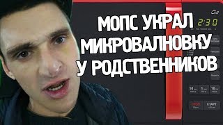 ТЕРПИЛА ПРЫГНУЛ С 4 ЭТАЖА | КАК МОПС МИКРОВОЛНОВКУ УКРАЛ | МОПС ОБОКРАЛ РОДСТВЕННИКОВ