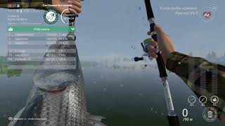 Fishing planet PS4| Соревнование | Сан Хоакин без границ | 3 место