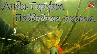 Лида. Торфы.  Подводная охота.
