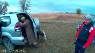 охота на фазана с собаками (дратхаар Берта и  лайка Грей) 2015 год