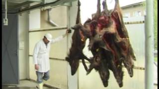 Neustrelitzer Frischwild- und Geflügelhandel - Imagefilm von 1991