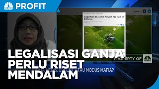 BRIN: Legalisasi Ganja Butuh Kajian & Riset Klinis Mendalam