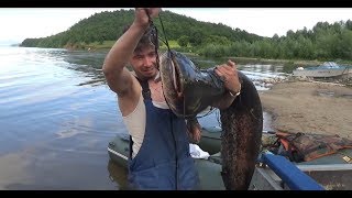 Сом на 60 кг на перемет | Рыбалка на Волге на островах | Уаз Патриот для рыбалки