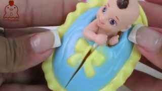 Petit Baby Cestinha bebês para amar e Brincar brinquedo em Portugues FuntoysKids
