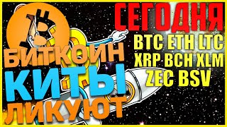 Прогноз по Биткоин, BTC, ETH, LTC, XRP, XLM, BCH, ZEC, BSV на сегодня! Шоу должно продолжаться!