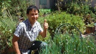 Ageless Man Eats Raw Backyard Plants