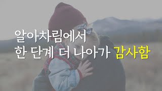 알아차림에서 한 단계 더 나아가 감사함| 마음공부| 화이트레빗
