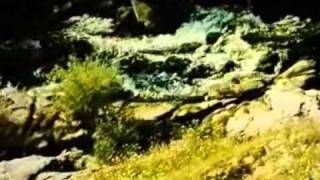 041/108"БАТЬКИ ВОЛЬНОСТІ"Невідома Україна
