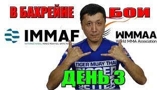 MMA В БАХРЕЙНЕ ЧЕМПИОНАТ МИРА 2018 ДЕНЬ 3 ??? #IMMAF #WMMAA #MMA