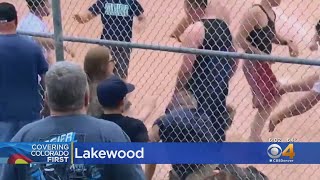 Adults Caught On Video Fist Fighting At Little League Game