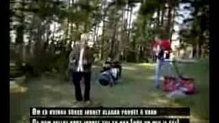 P-DANJELSA - HUR KOM E SE?