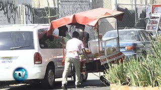 Reporte Indigo (469): La mafia de la fruta