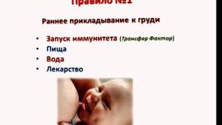 Грудное вскармливание новорожденного