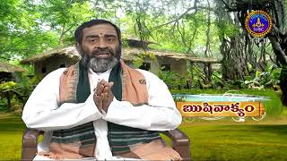 ఋషివాక్యం: దేవతాభేదములు – సనాతన ధర్మం(rushivaakyam: Devata Bhedamulu - Sanatana Dharma)