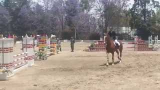 Salto a caballo : SEDENA