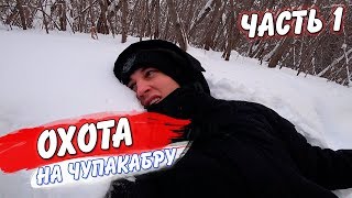 ОХОТА НА ЧУПАКАБРУ В ЛЕСУ! ДЕЛАЮ ЛОВУШКУ/ ЖЕСТЬ!