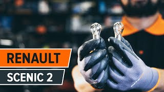 Cómo cambiarla las luces de estacionamiento en RENAULT SCENIC 2 [INSTRUCCIÓN]