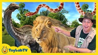 Dinosaur Animal Park Adventure & Fun Family Kids Trip to the Zoo
