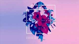 Blackbird Blackbird - Happy With You