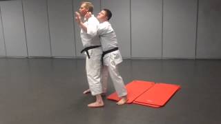Isshin-ryu Karatedo; Tatsuo's Kumite - Part II