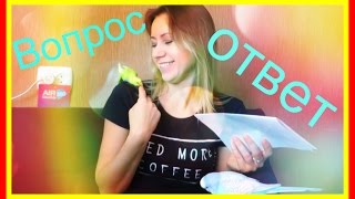 Ответы на ваши вопросы про моих попугаев #Волнистыйпопугайчик