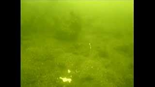 Первая подводная съемка, рыбалка, мормышка.
