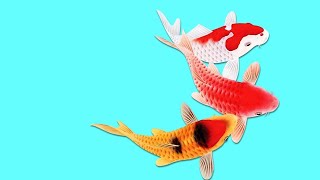 ? №2 Игра для кошек, котов и котят! На экране резвые рыбки плавают для вашей кошки!