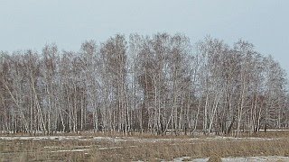 #1_Путь к объекту "Чулым-3"_Первый выезд