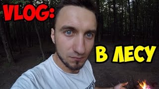 ВЛОГ: Живу в лесу, ем сырое мясо