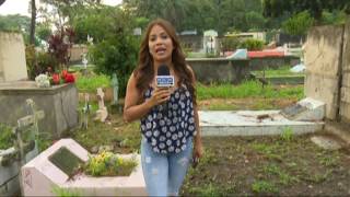 Así se encuentra el Cementerio La Puerta #SPS previo al Día de Difuntos